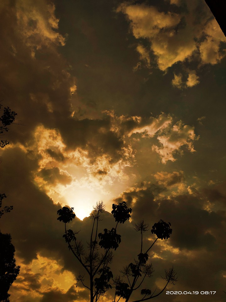 Sky