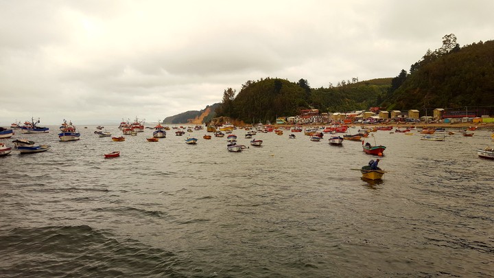 Caleta tumbes