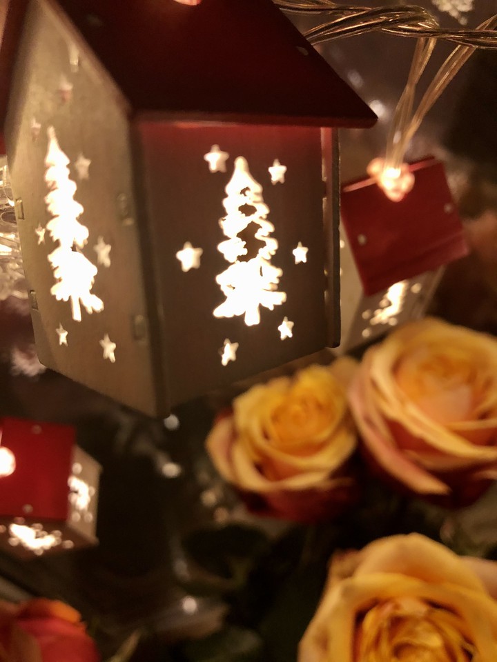 Roses