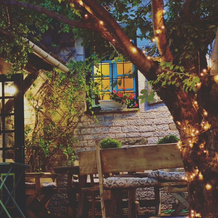 beautiful yard