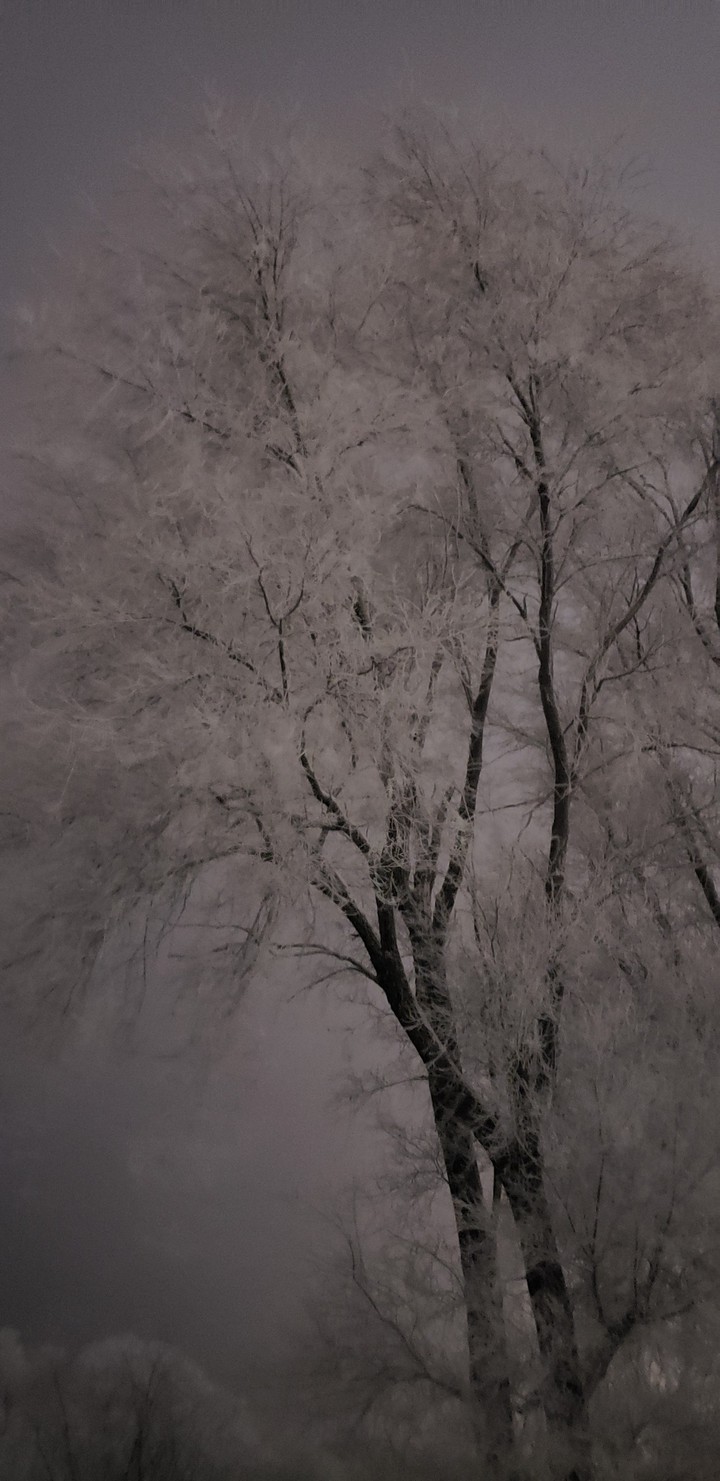 relaxing winter night