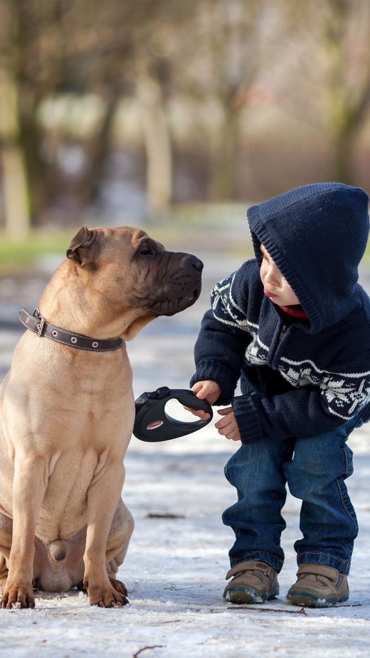 Share your love