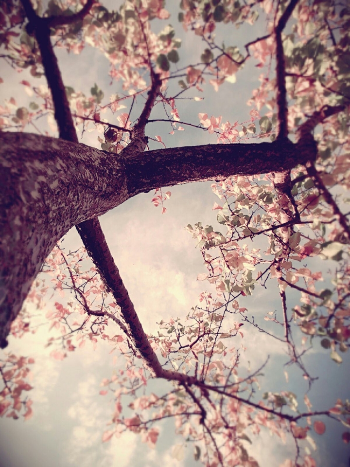 pic2- this is the way we should see life
