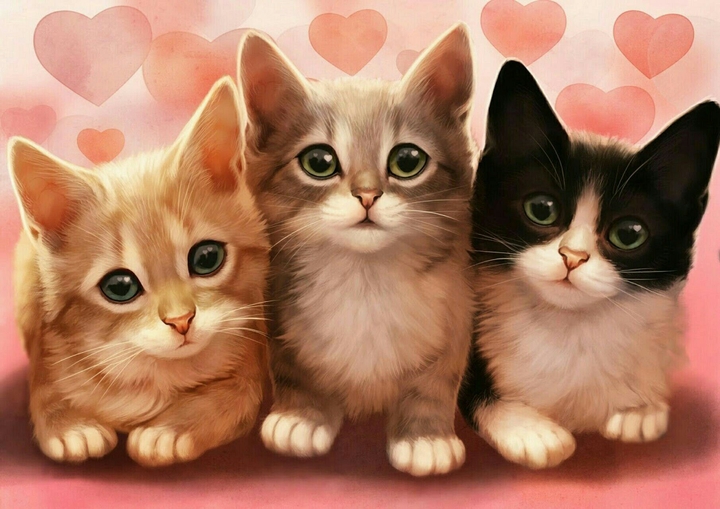 cute