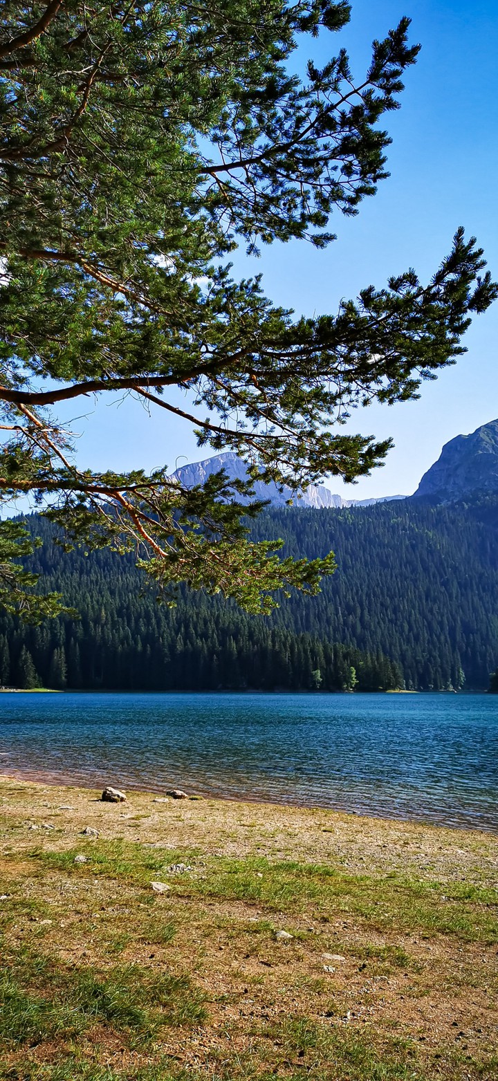 Black Lake, Durmitor