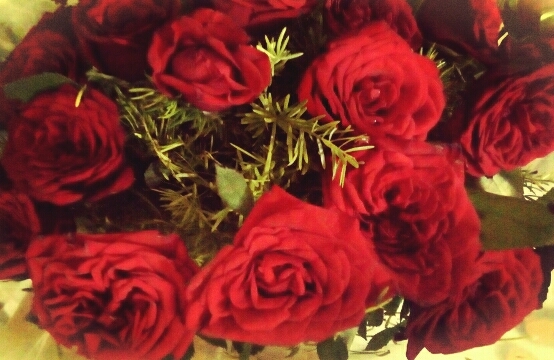 Bed Of Roses