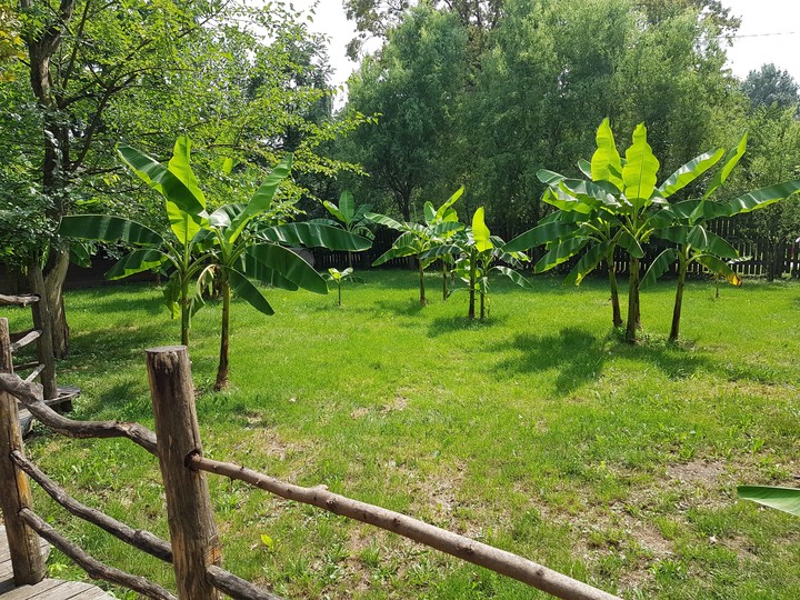 красивое место