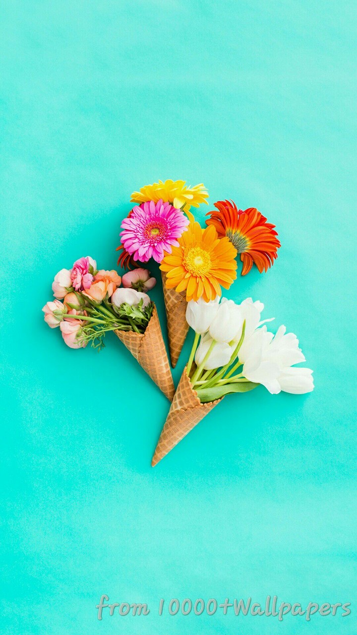 FLOWERS
