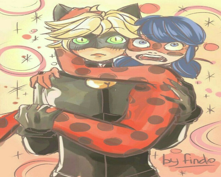 Ladynoir