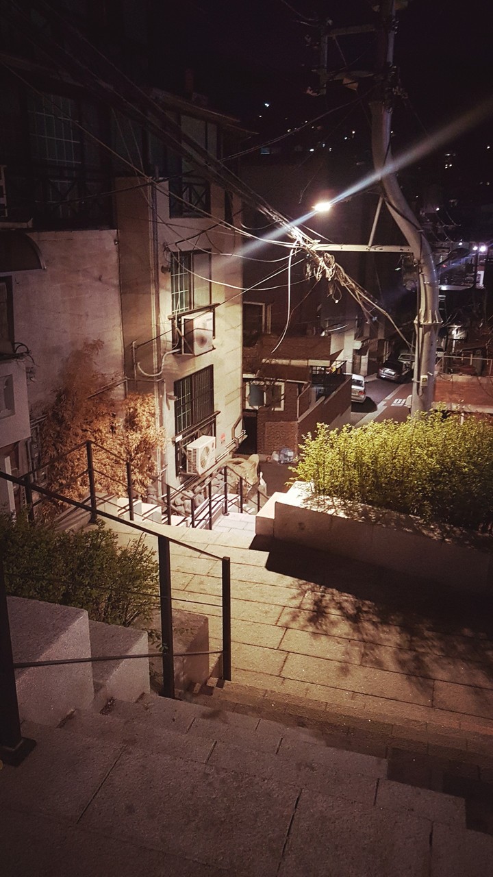 도심