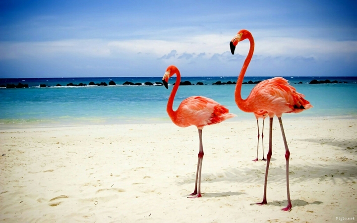 JERBA TUNISIE