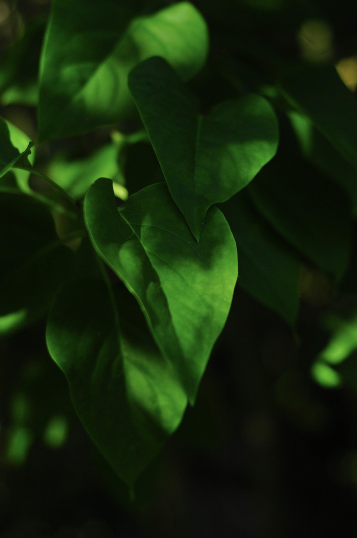 Licht und Schatten