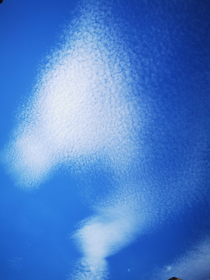 0001
