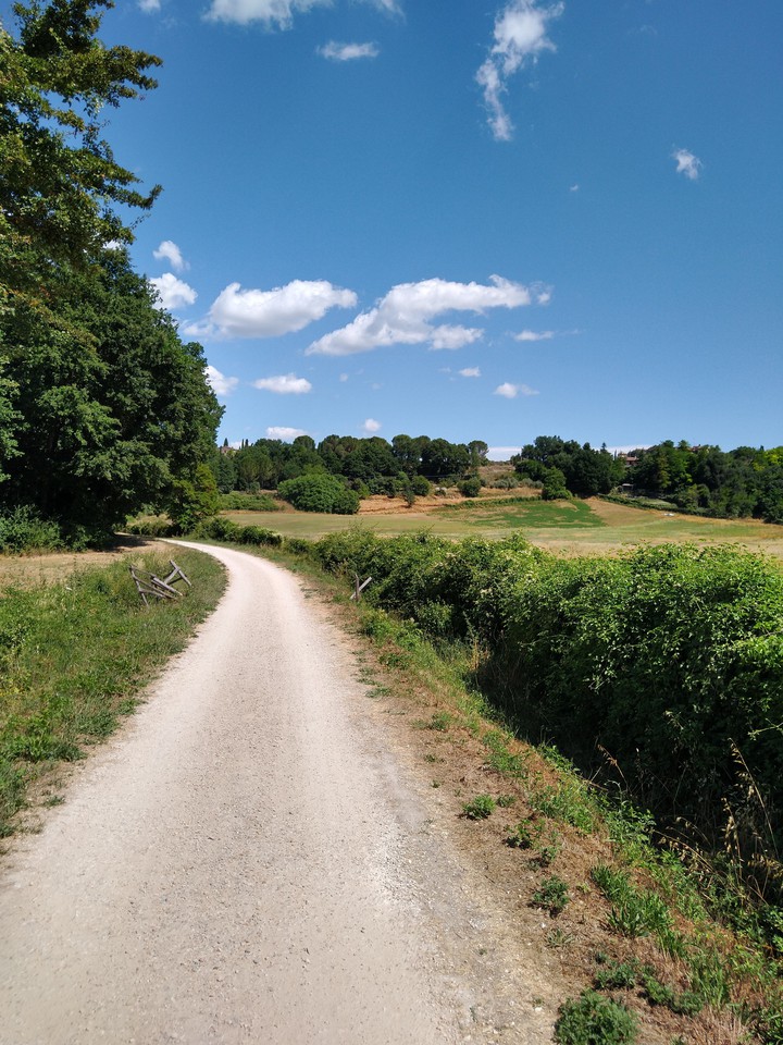 white road