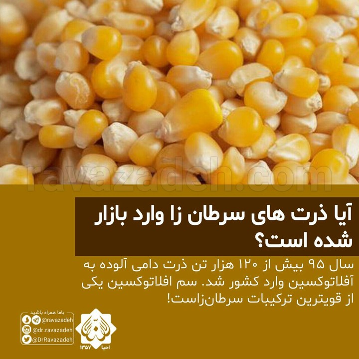 زرت
