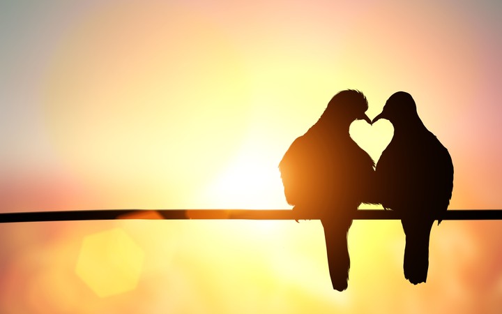 The purpose of our lives is to be happy..and love each other