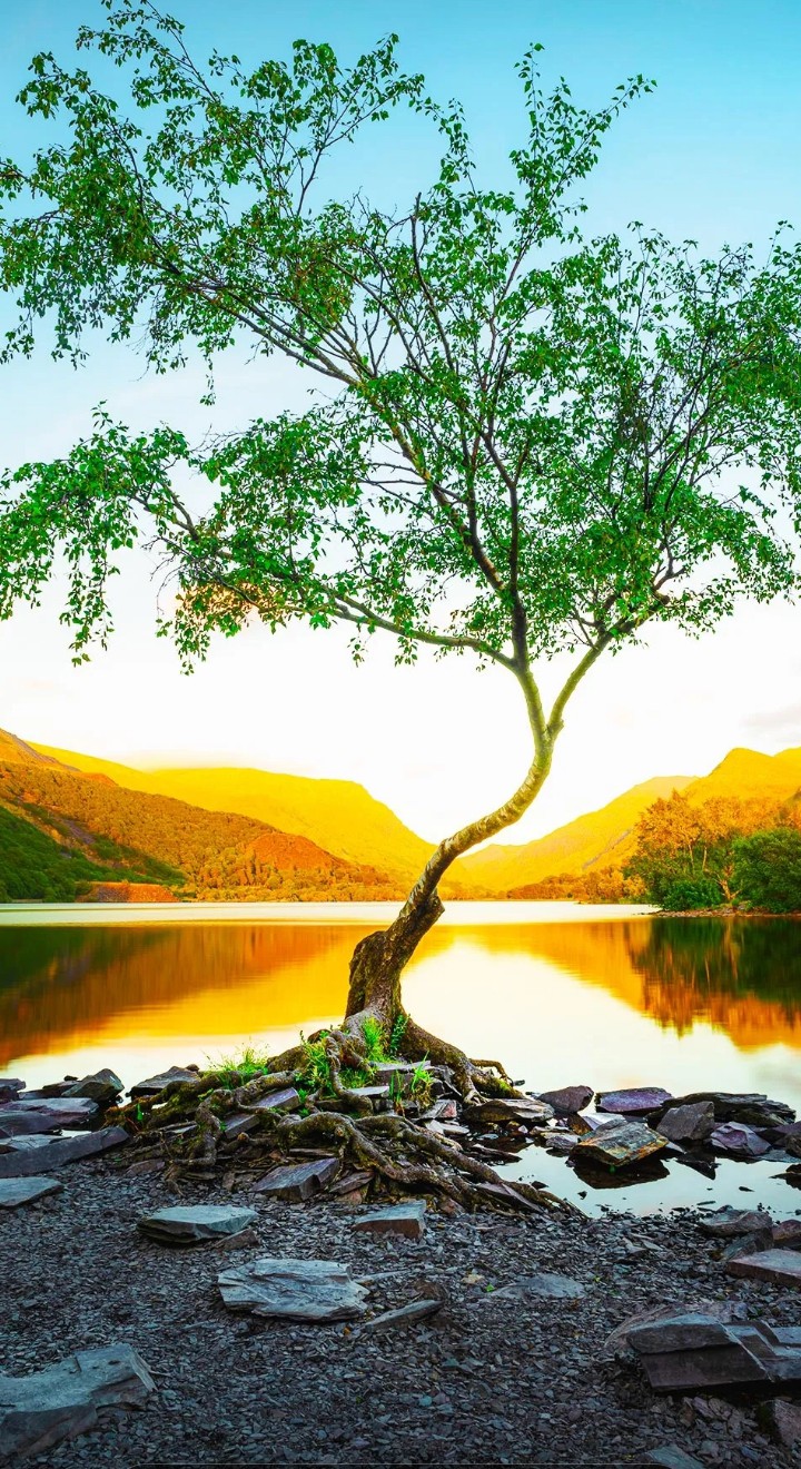HD wallpaper