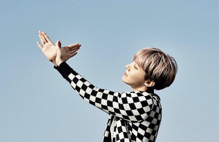 hobi