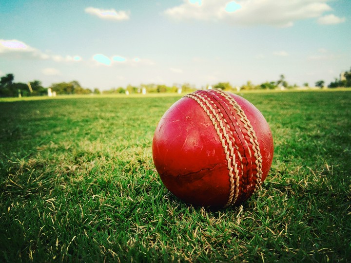 cricket lover