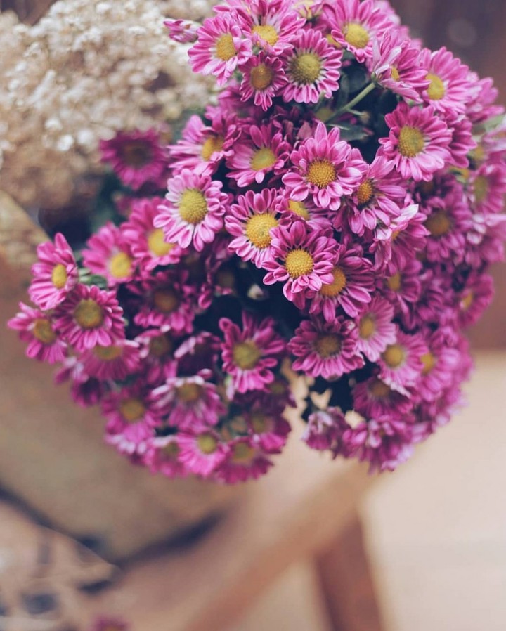 pink