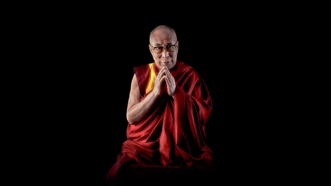 lama, magenta壁纸