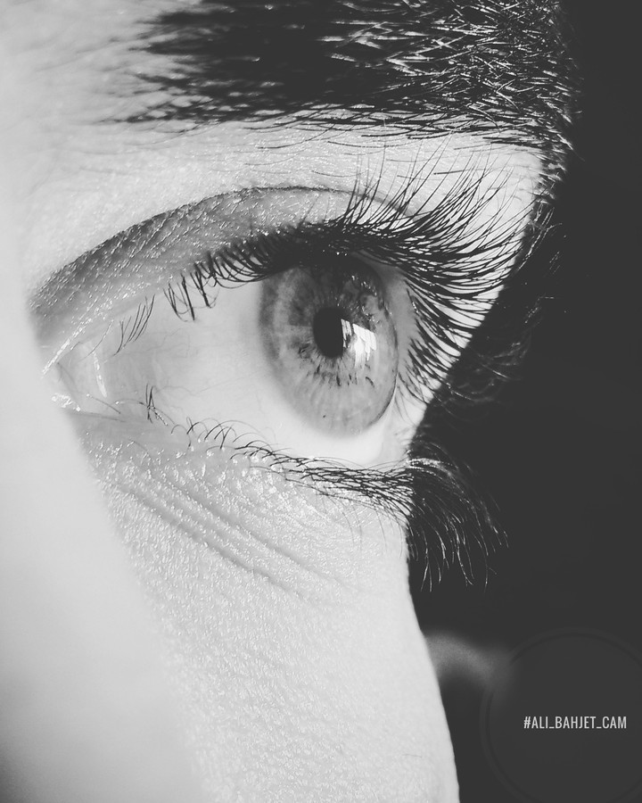 Eye