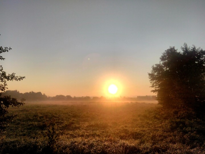 morning sun