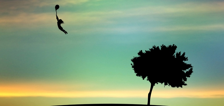fly