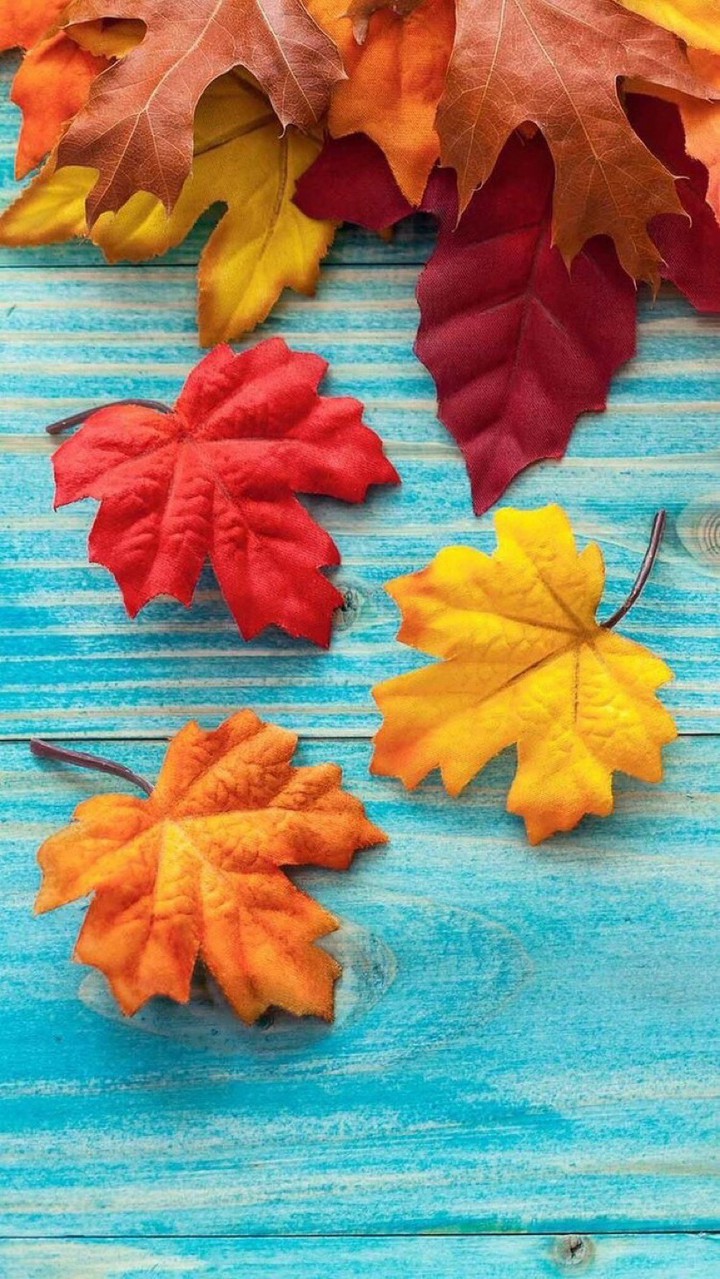 spectrum of autumn colors