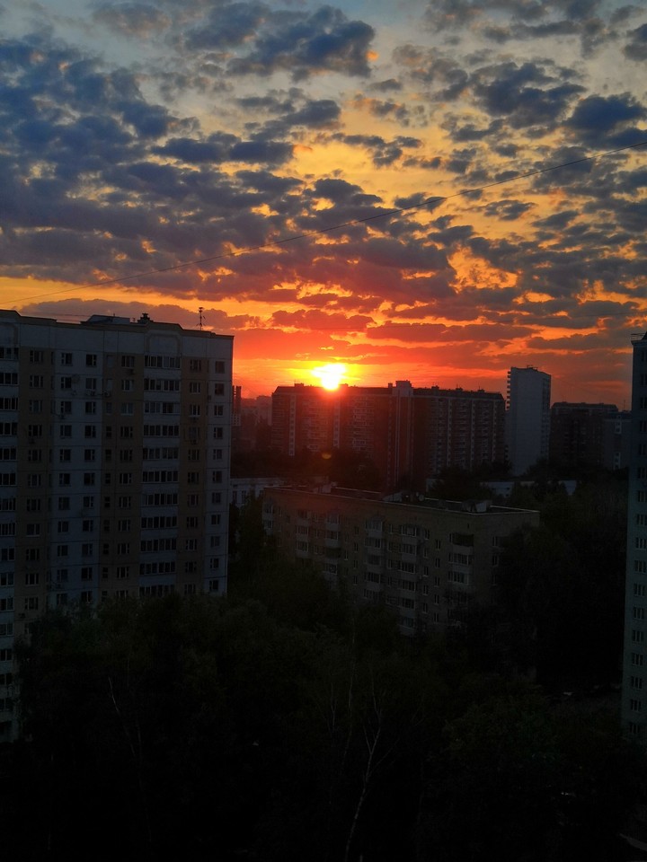 8643335677tff66