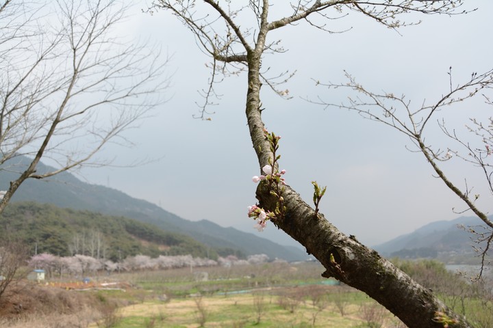 풍경이미지