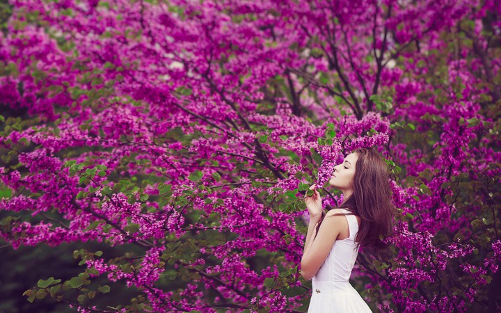 Blossom ❇️