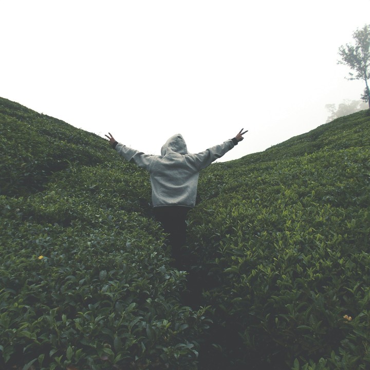 Travel