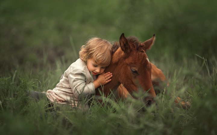 Friends)