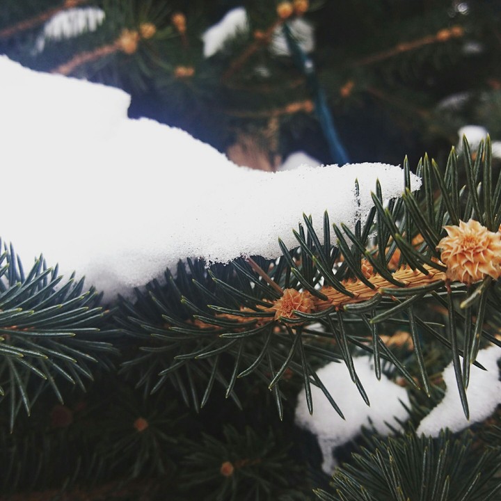 winter in Armenia