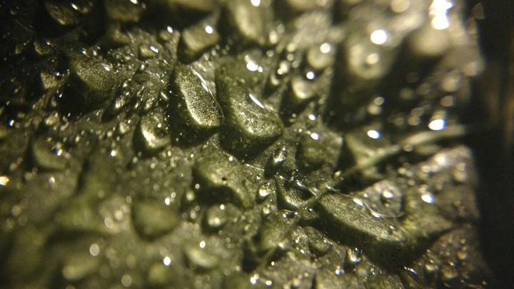 Water Droplets