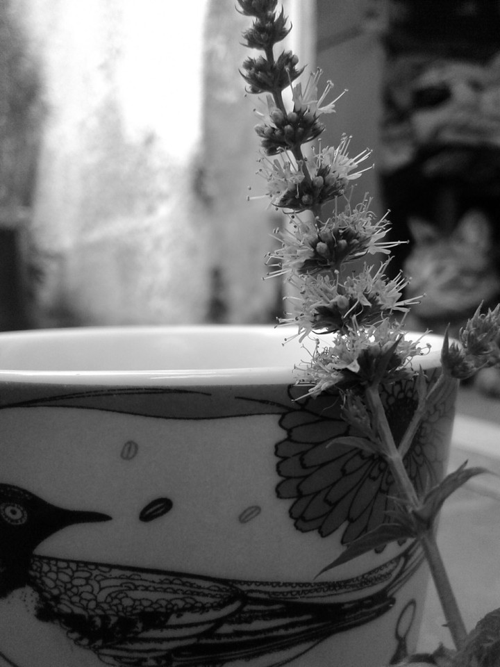 Tea time.