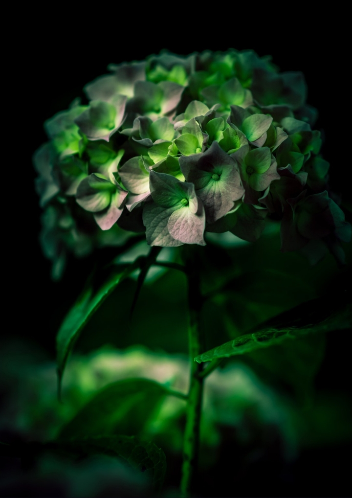 go green