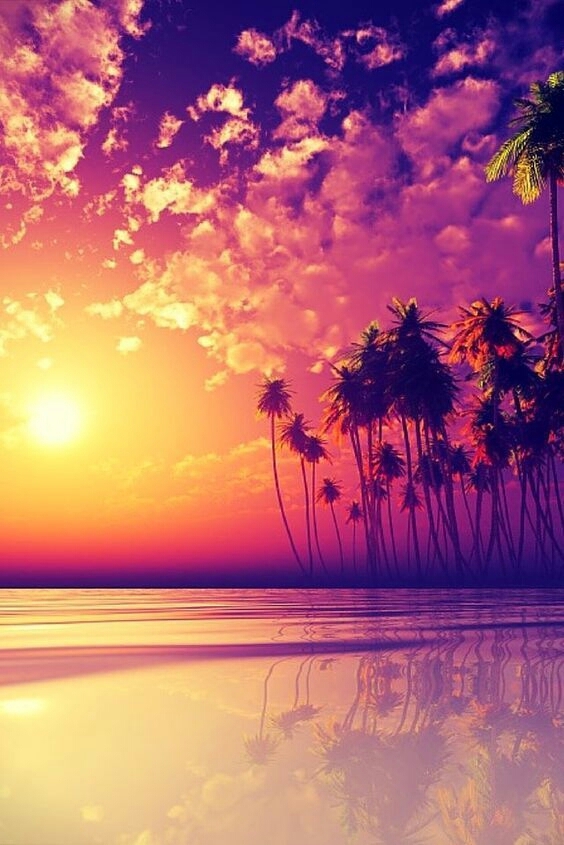 summer?beach?