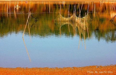 lake, Oasis wallpapers