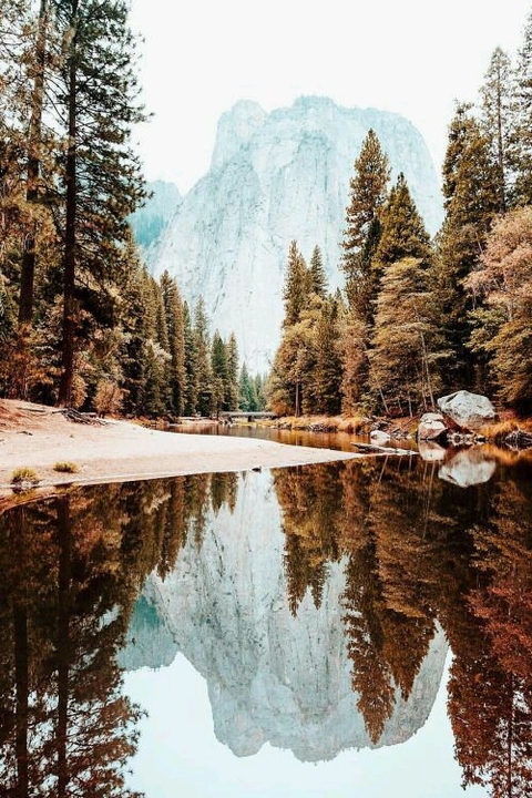 Nature