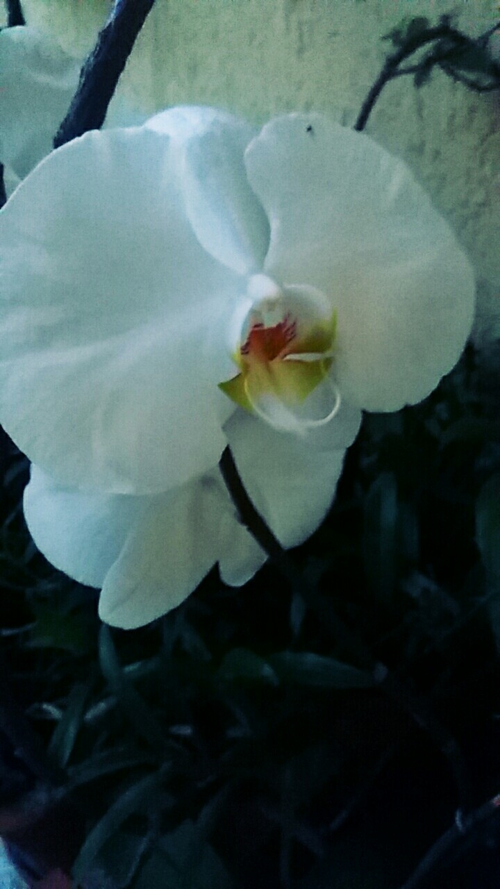 Nature!