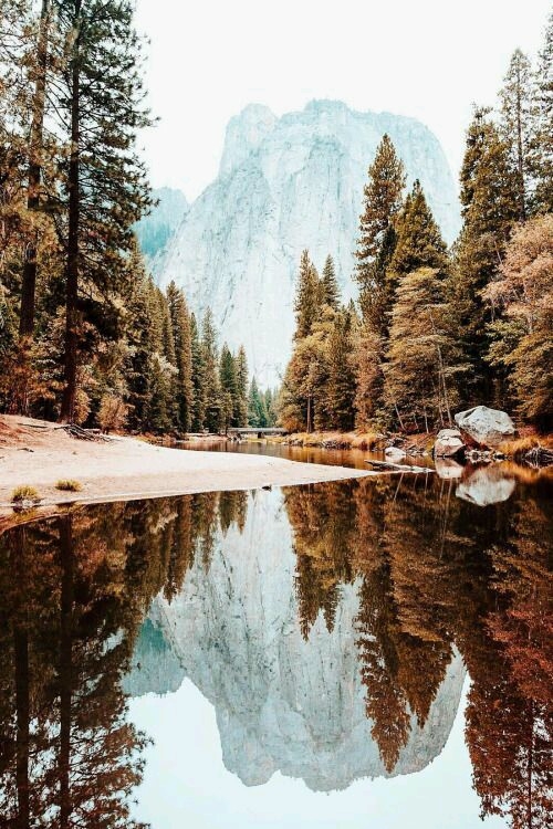 Nature
