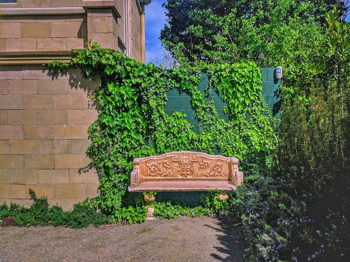 Bench in the garden