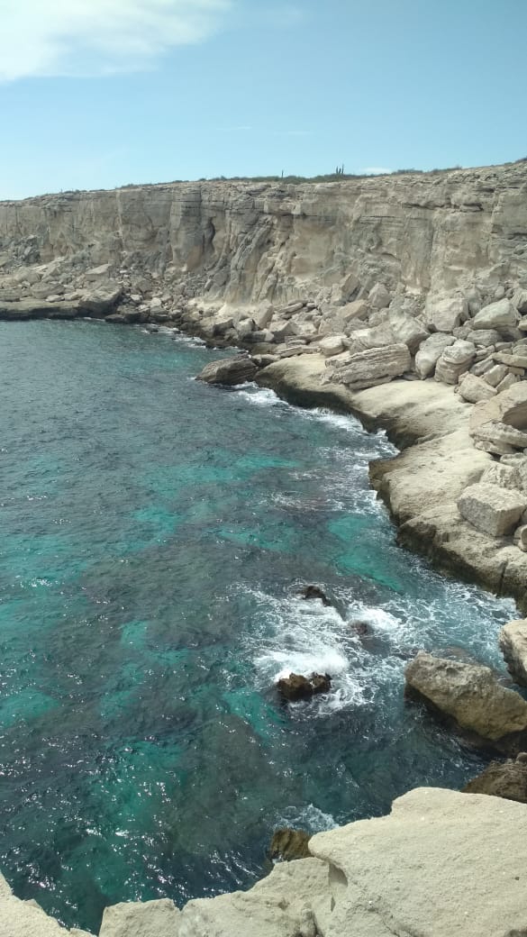 Baja California Sur, Los cabos
