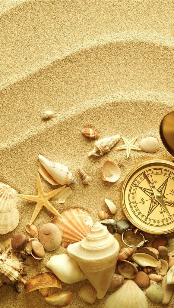 Sable et coquillages
