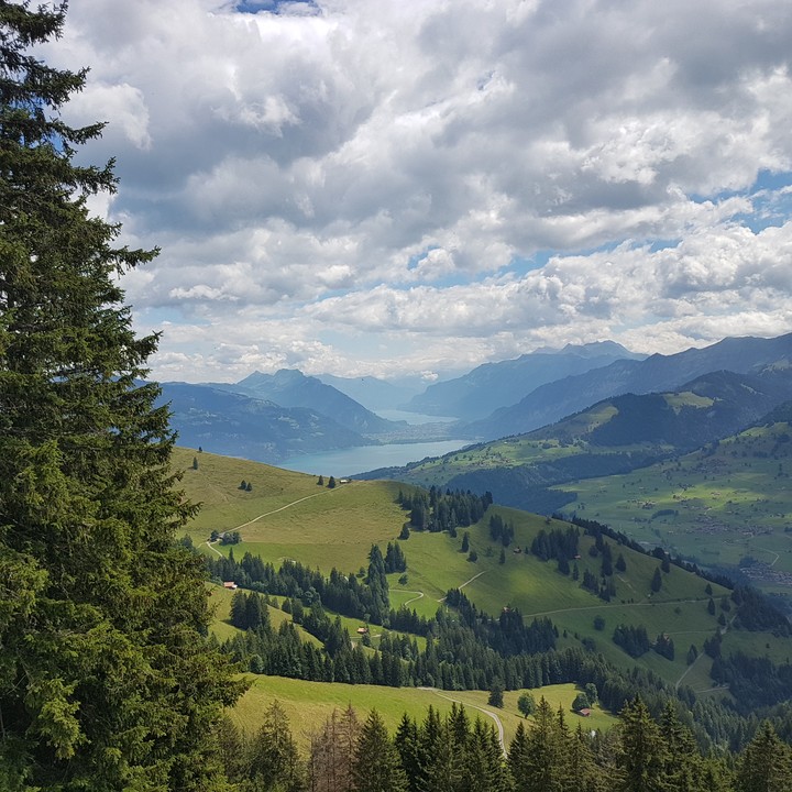Schweiz Berge niesen