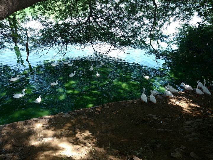 Water