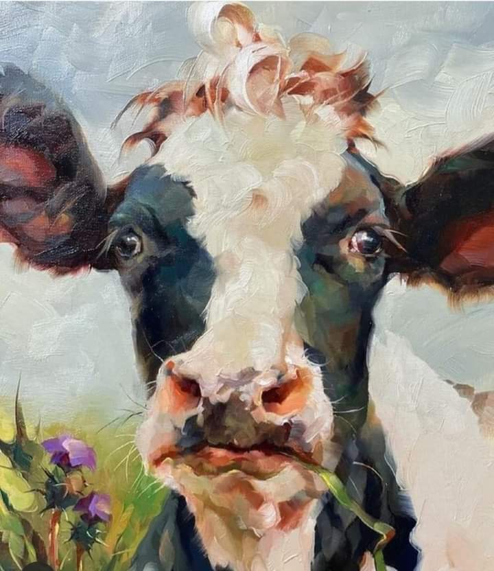 ،