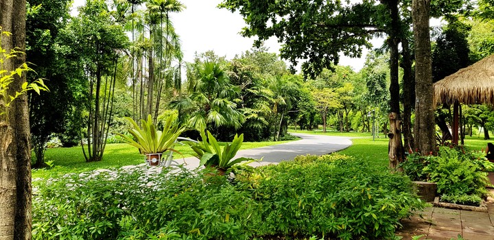 garden, Bangkok Thailand